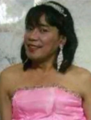 Thai ladyboys for dating / Ladyboys from Philippines for dating