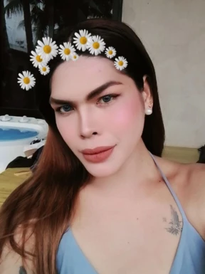 Thai ladyboys for dating / Ladyboys from Philippines for dating